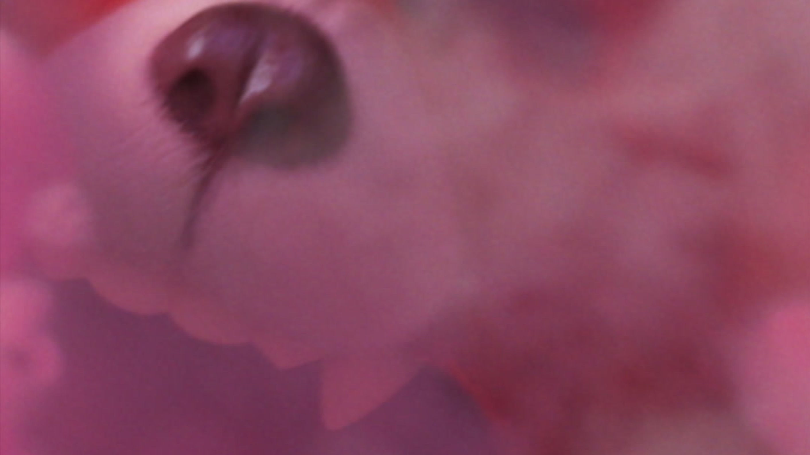 TURNING RED - 15 Sec Spot for Social